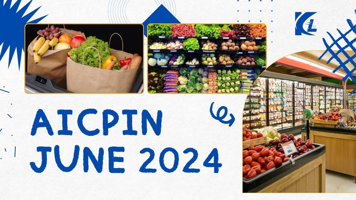 AICPIN June 2024